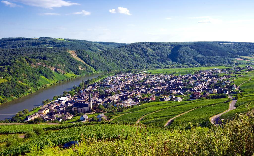 Ferienweingut Rainer Beitzel Otel Kröv Dış mekan fotoğraf