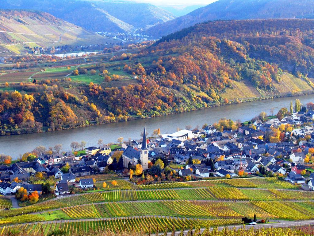 Ferienweingut Rainer Beitzel Otel Kröv Dış mekan fotoğraf
