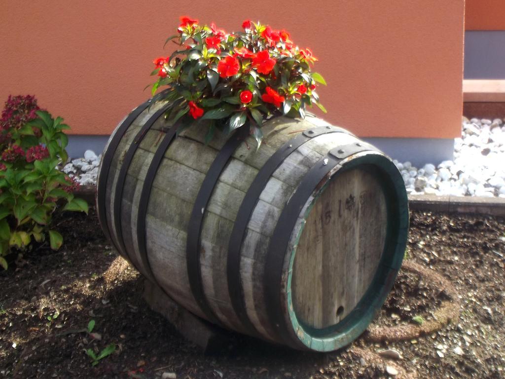 Ferienweingut Rainer Beitzel Otel Kröv Dış mekan fotoğraf